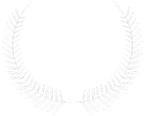 35 Years Experience 4